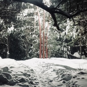 «Дорога домой»