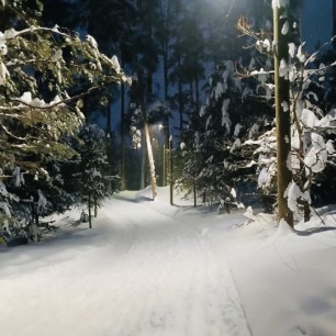 «Зимний вечер».