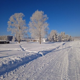 Волшебство зимы