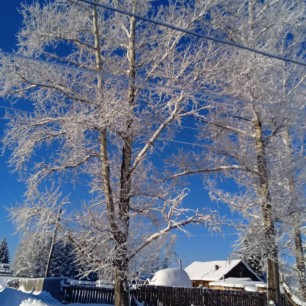 Сельский пейзаж