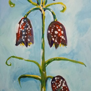 "Краснокнижный рябчик"