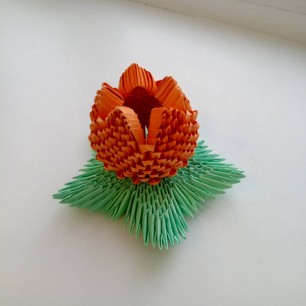 "Царица цветов"