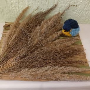 Зимние птицы