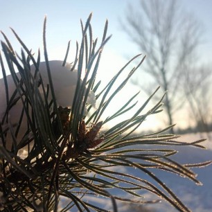 Зимняя шубка