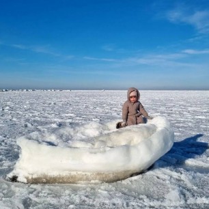 Капитан ледяного судна