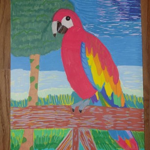 Попугай Ара