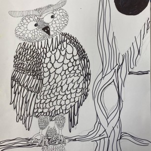 "Сова и луна"