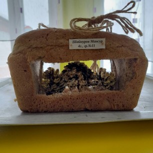 "Съедобная кормушка"