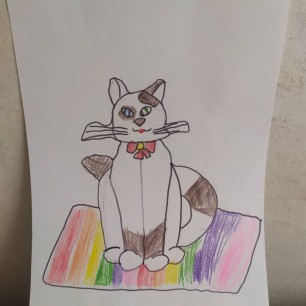 Кошка и радужное настроение