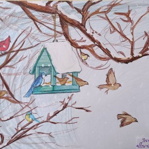 Птичья столовая