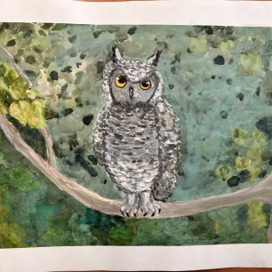 "Птица ночи"