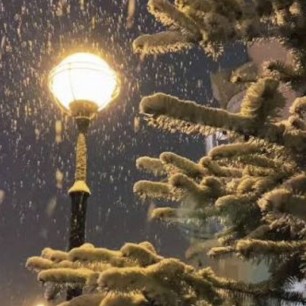 В объятиях тёплого света