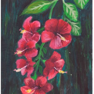 Прекрасный гибискус