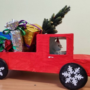 Помощник Деда Мороза