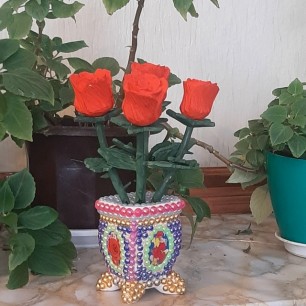 Вечная Элегантность