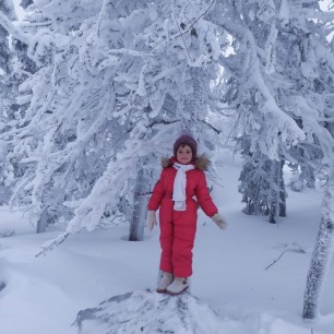 Зимняя сказка