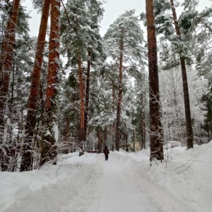 фото отдых   на природе семьей ,