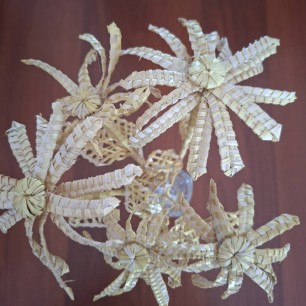 Любимые ромашки