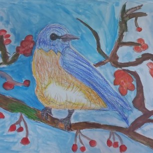 "Голубая птица на ветке рябины"