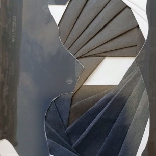 Милый котик