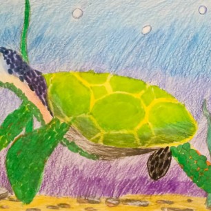 Морская черепаха