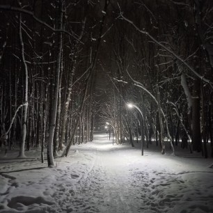 "Зимняя дорога"