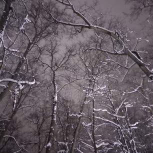 "Серая зима"