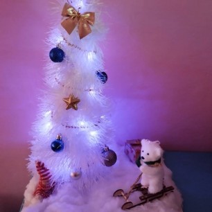 " Новогодний праздник"