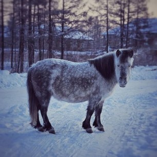В ожидании весны