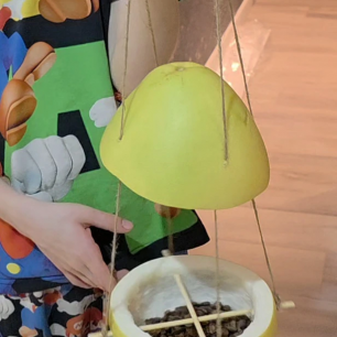 С заботой о синичках