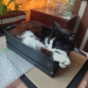 Лучший мой подарочек...