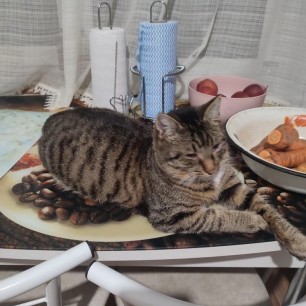 Когда ты Царь