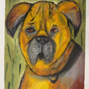 Южноафриканский бурбуль - "Жофрей"