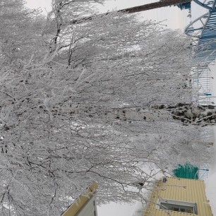 Снежное кружево