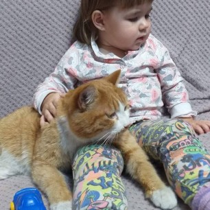 Мой компаньон.