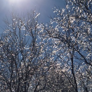 Весенняя сказка