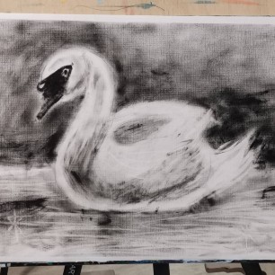 Прекрасный Лебедь