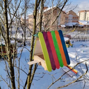 Кормушка мечты