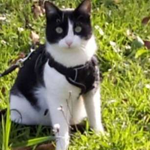 На прогулке