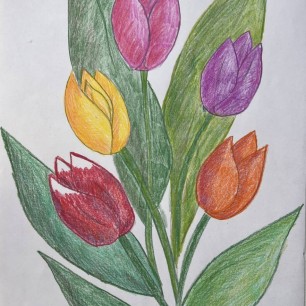 Тюльпаны для мамы