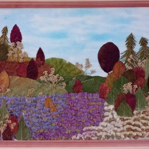 цветочный луг