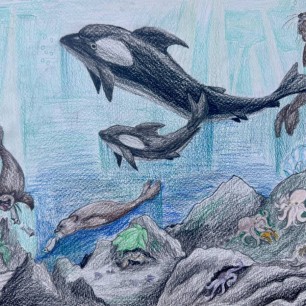 Дальний Восток. Сахалин. Свет в глубине.