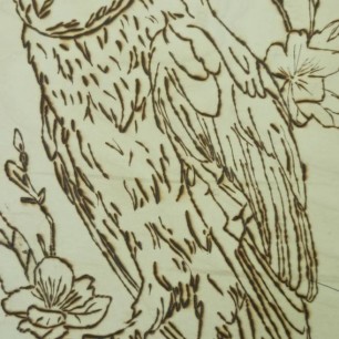 Краснокнижная неясыть