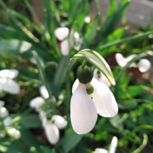 А у нас во дворе...