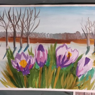 Весенние крокусы