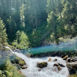 "Песня горной реки в царстве  елей и берез"