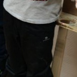 Веточка сирени