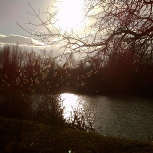 Первые солнечные лучи