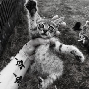 Лучший друг