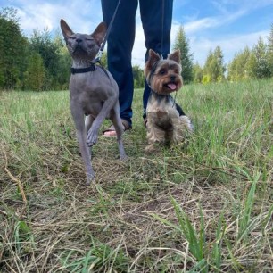 Мои любимки